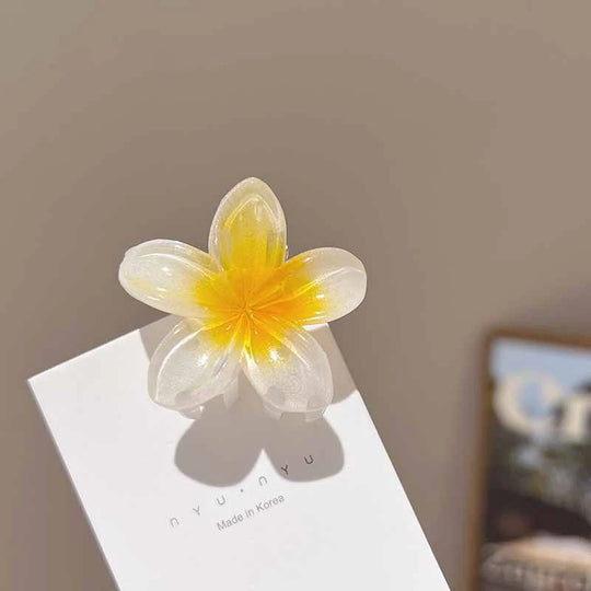 6Pcs Hawaiian Gradient Hair Clips Flower Hair Claws Women Small Size