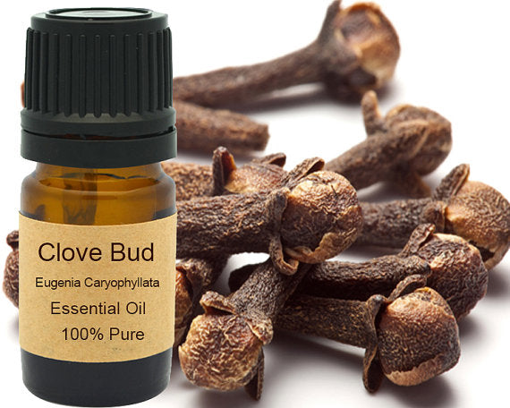 Clove Bud Essential Oil 15ml
