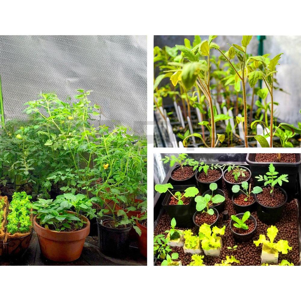 Greenfingers Grow Tent 60x60x90CM Hydroponics Kit Indoor Plant Room
