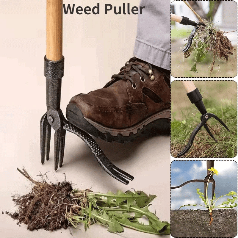 BIESUO Weed Puller Tool Heavy Duty Stand Up Weed Puller 4 Claw Head Weeder Tool for Gardening Projects Lawn Without Bending