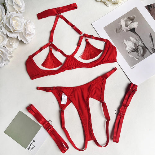 Ellolace Sensual Tassel Fetish Lingerie See Through Open Bra Bilizna