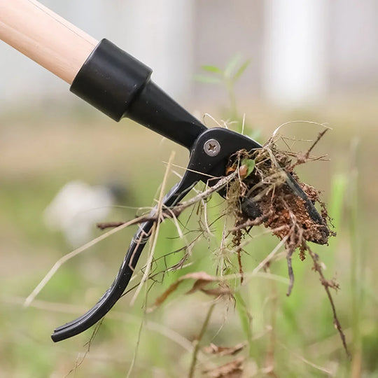 BIESUO Weed Puller Tool Heavy Duty Stand Up Weed Puller 4 Claw Head Weeder Tool for Gardening Projects Lawn Without Bending