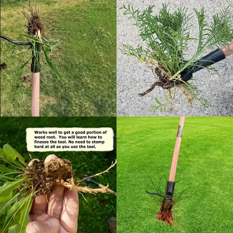 BIESUO Weed Puller Tool Heavy Duty Stand Up Weed Puller 4 Claw Head Weeder Tool for Gardening Projects Lawn Without Bending