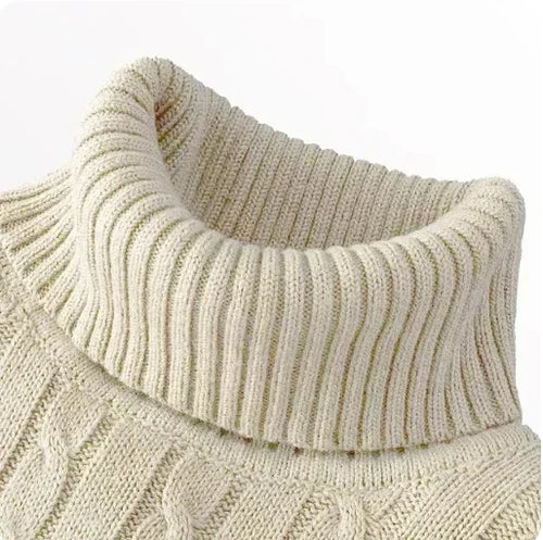 Men's High Neck Sweater Solid Color Pullover Knitted Warm Casual
