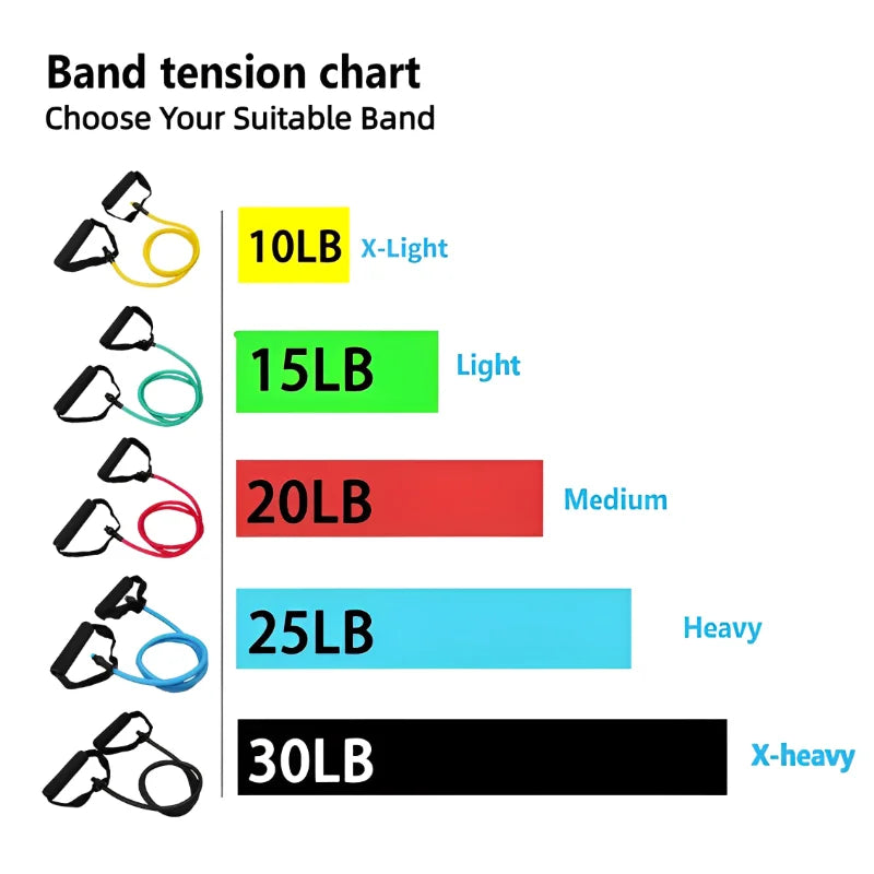 Resistance Bands with Handles for Full-Body Workout