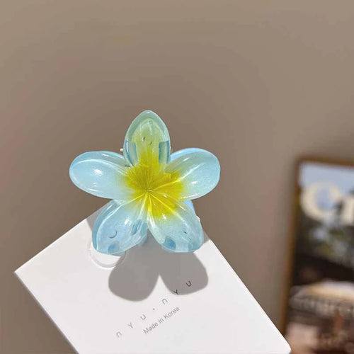 6Pcs Hawaiian Gradient Hair Clips Flower Hair Claws Women Small Size