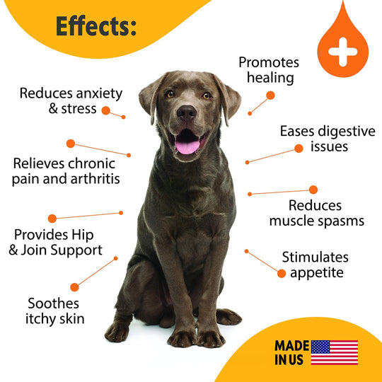 Hemp Oil for Dogs & Cats   Large 2oz Bottle Made in USA   Joint Pain